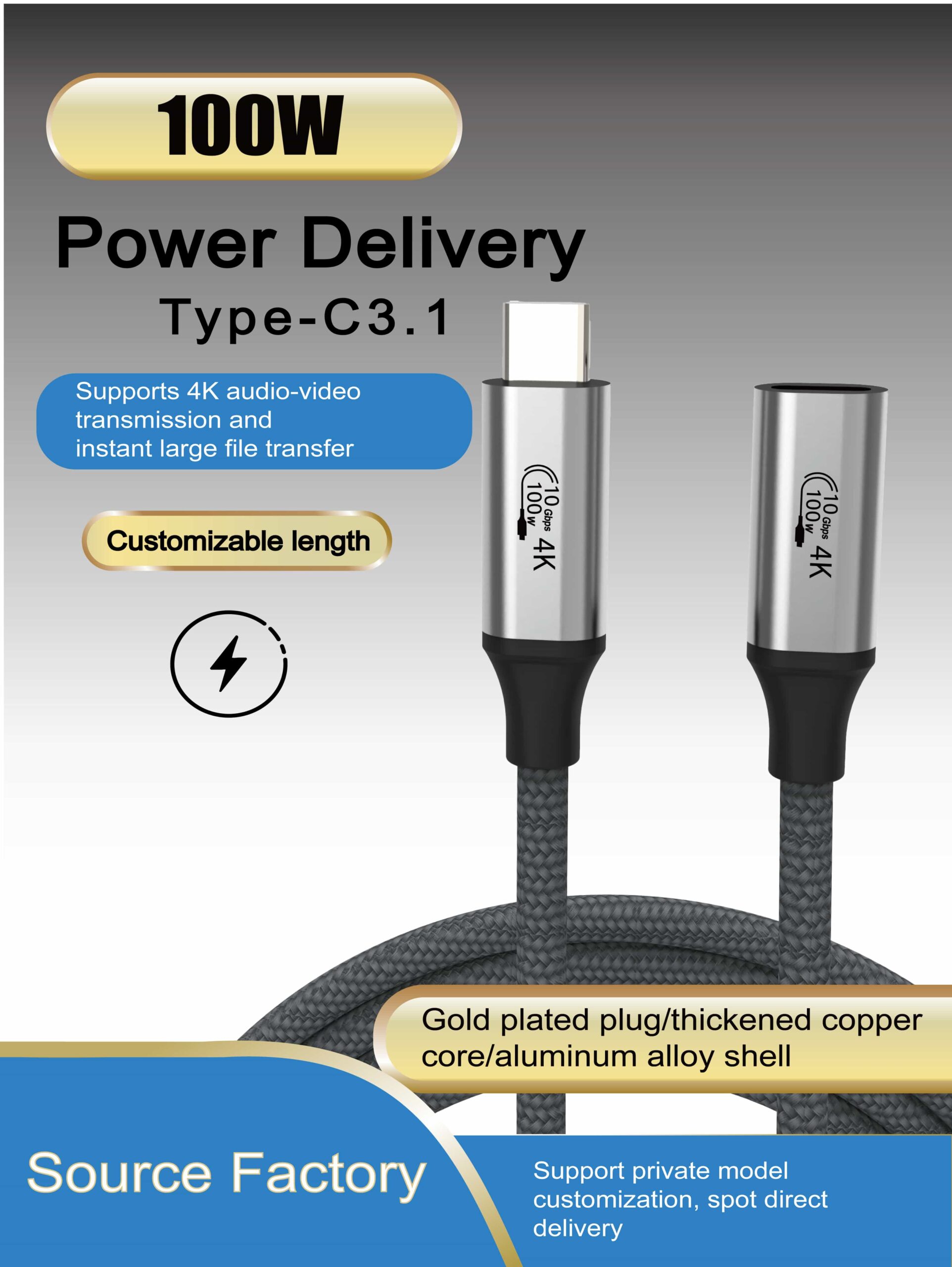 USB-C 3.1 Gen2 C to C Data Cable(01)