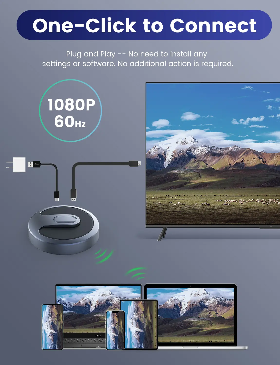 Jl Q5 Product Image (6)